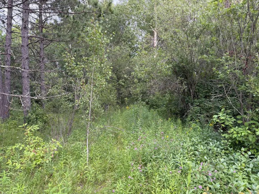 4788 Town Road, Littlefork, MN 56669 - #3