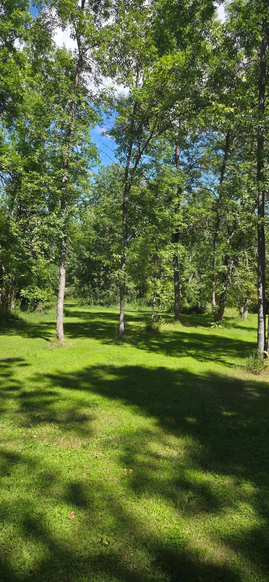305 5th Avenue W, Federal Dam, MN 56641 - #3