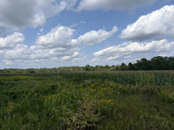 73 45th Avenue, Clayton, WI 54004
