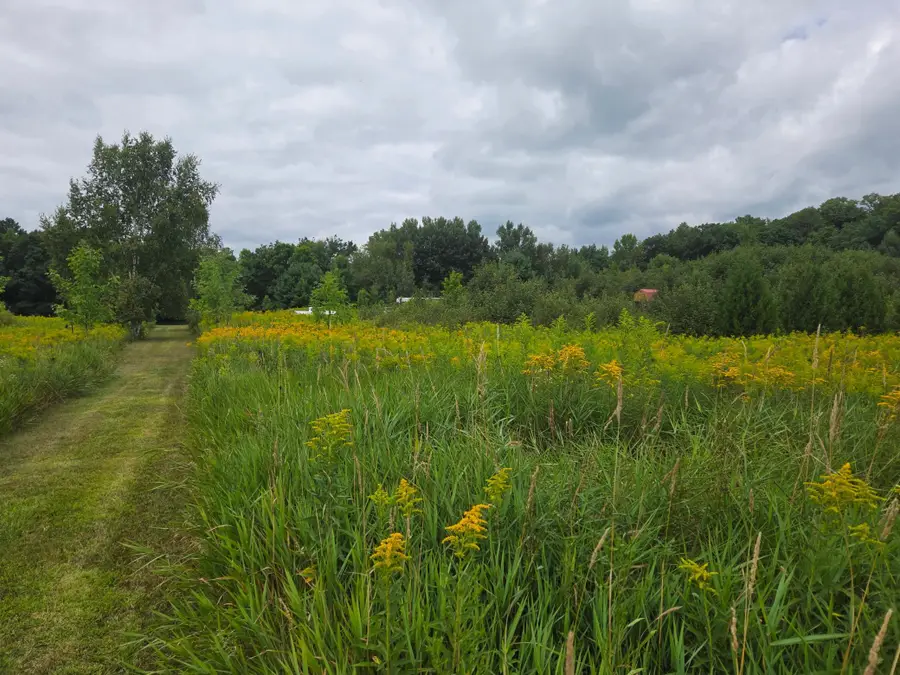 2979 12th Street, Barronett, WI 54813 - #2