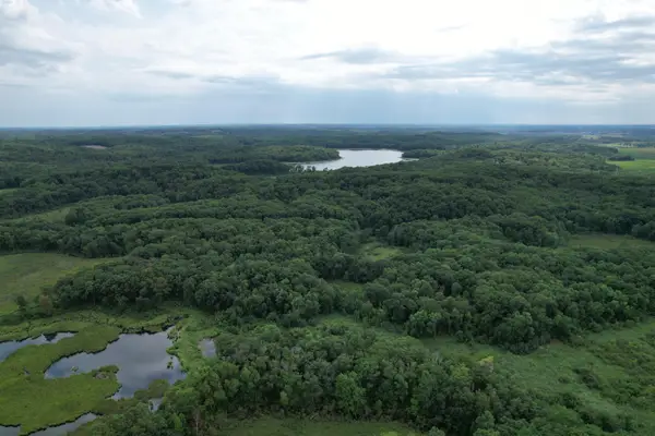 TBD 335th Avenue, Cushing, MN 56443