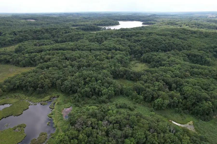 TBD 335th Avenue, Cushing, MN 56443 - #2