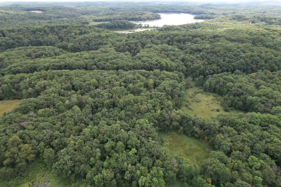 TBD 335th Avenue, Cushing, MN 56443 - #3