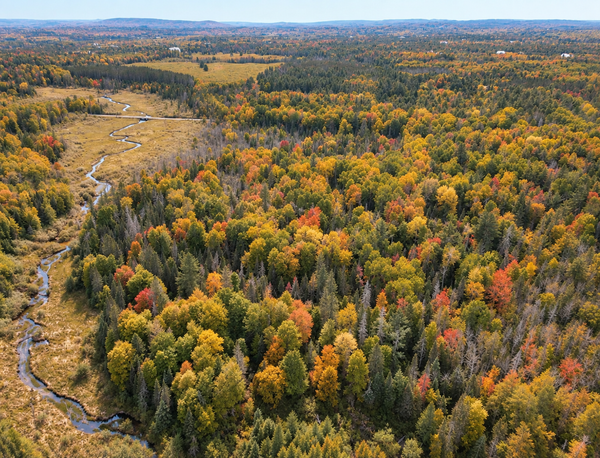 Lot 1 Smith Road N, Couderay, WI 54828