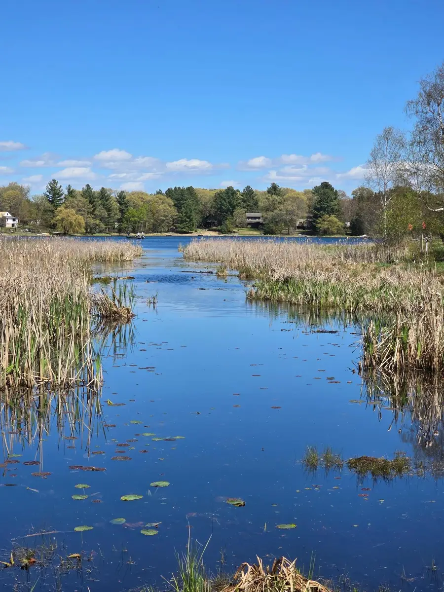 TBD NE West Fawn Lake Road, Stacy, MN 55079 - #3