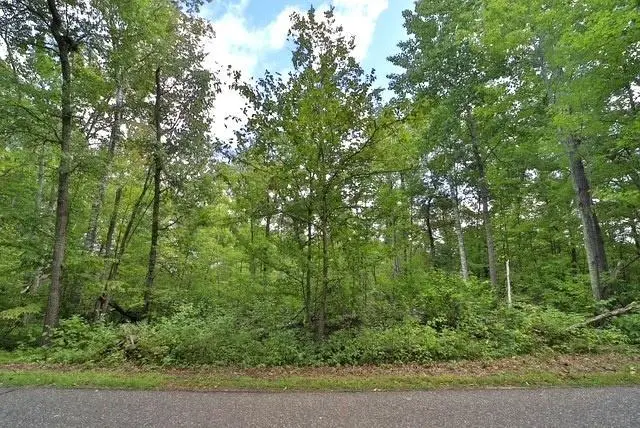 TBD Terminal Rd, Breezy Point, MN 56472 - #1