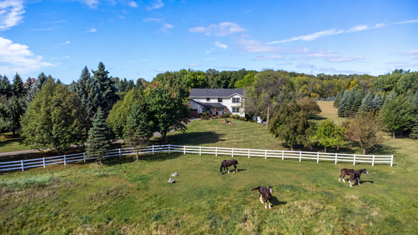 3995 Eckert Avenue Se, Delano, MN 55328