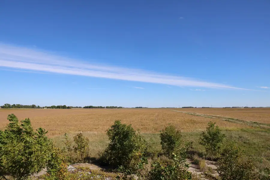 81893 470th Street, Hector, MN 55342 - #3