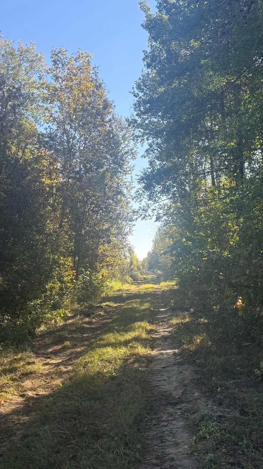 Parcel A Sunflower Road, Kelliher, MN 56650 - #3