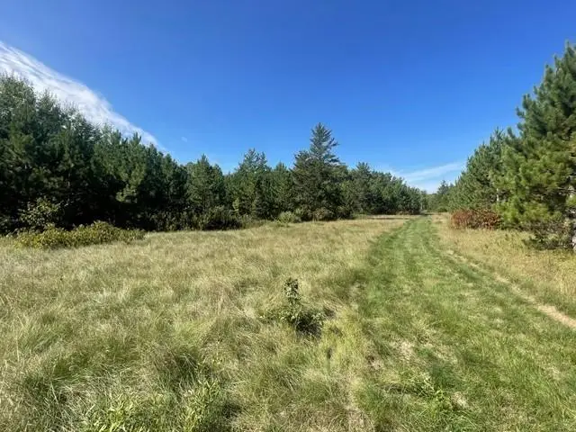 TBD 380th Street, Menahga, MN 56464 - #2