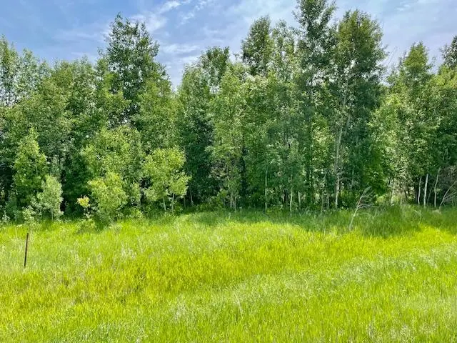 T134-R37 SEC.30    /  HWY Hwy 67, Henning, MN 56551 - #1