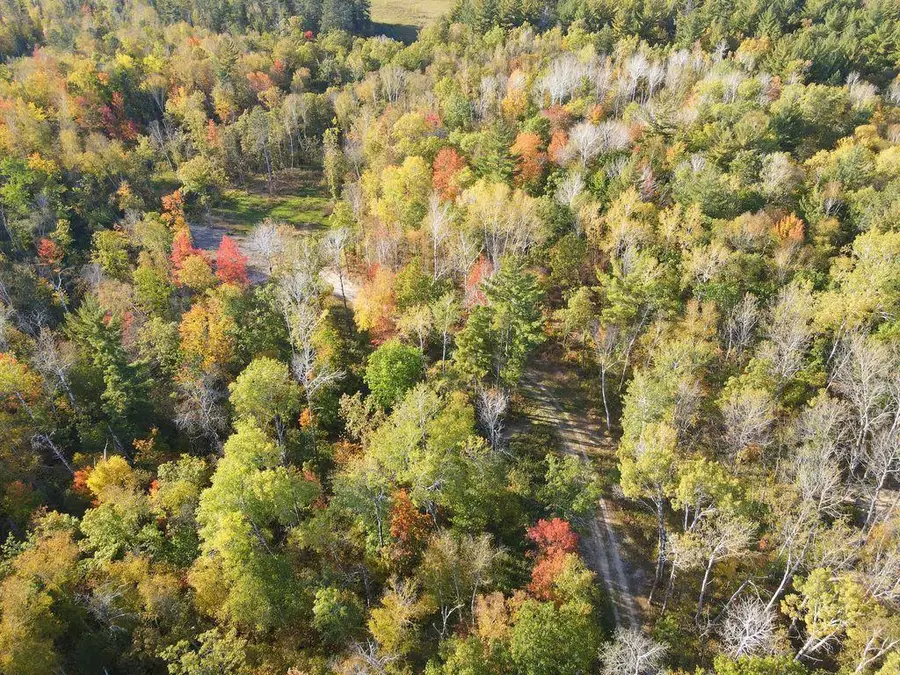 XXX Us 71, Park Rapids, MN 56470 - #3