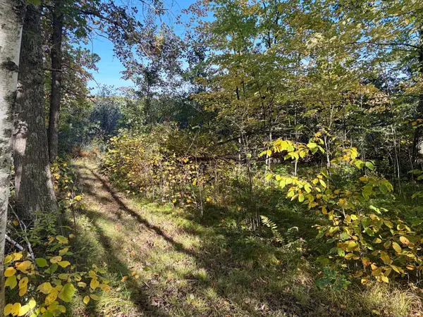 TBD 248th Place, Mcgregor, MN 55760