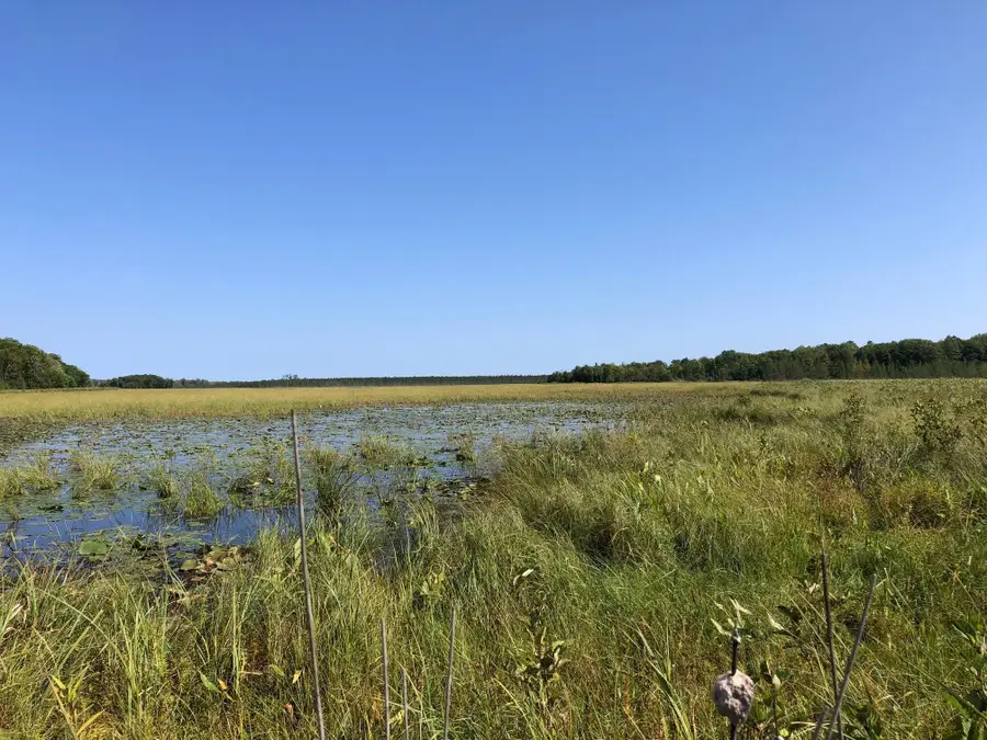 TBD 248th Place, McGregor, MN 55760 - #2