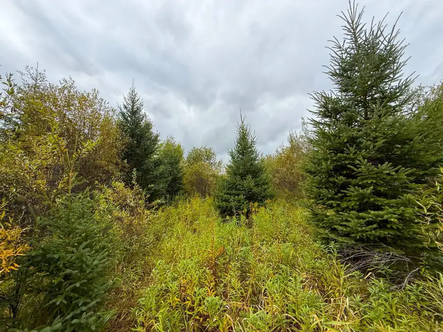 TBD 360th Street, Onamia, MN 56359 - #3