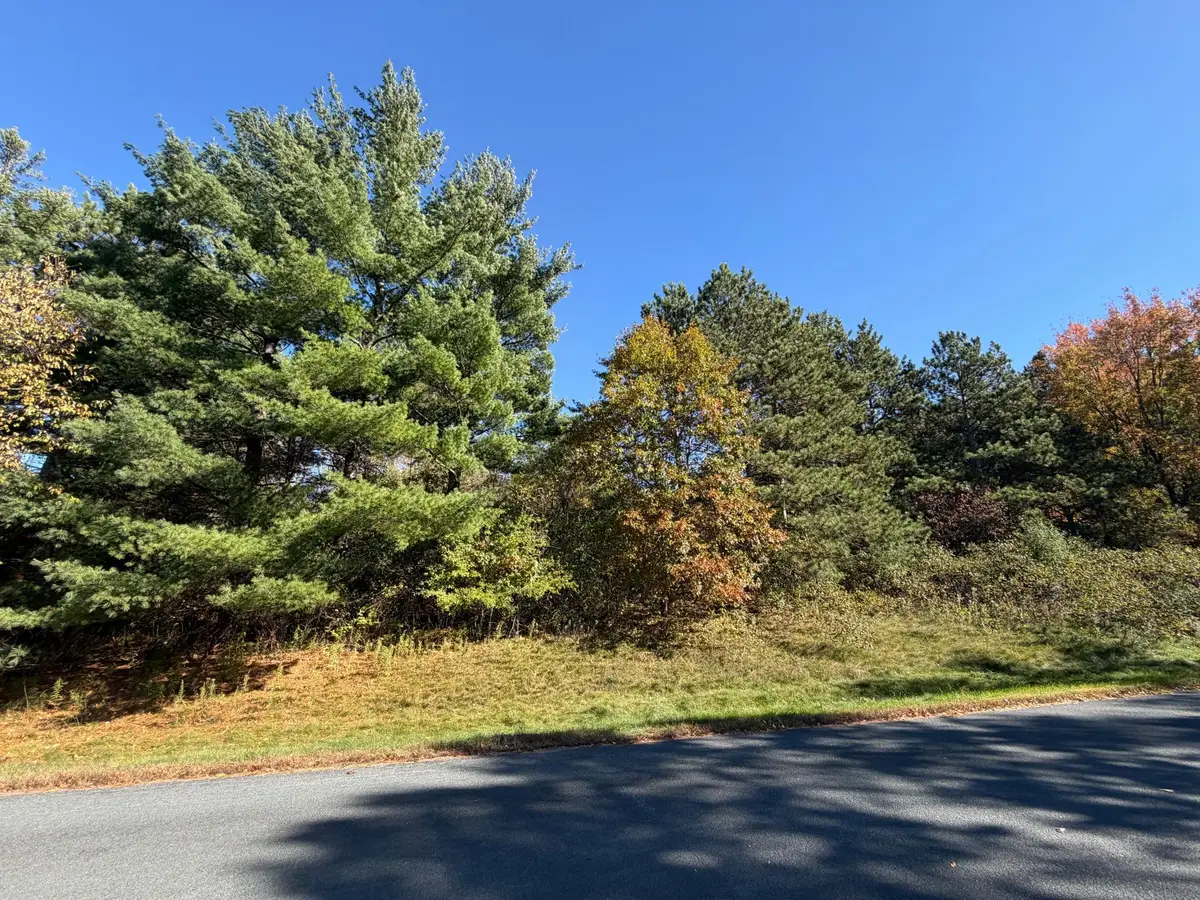 TBD Delong Road, Somerset, WI 54020 - #1