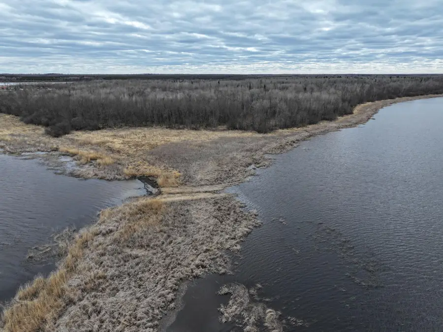 020 Youngs Bay Drive, Angle Inlet, MN 56711 - #3