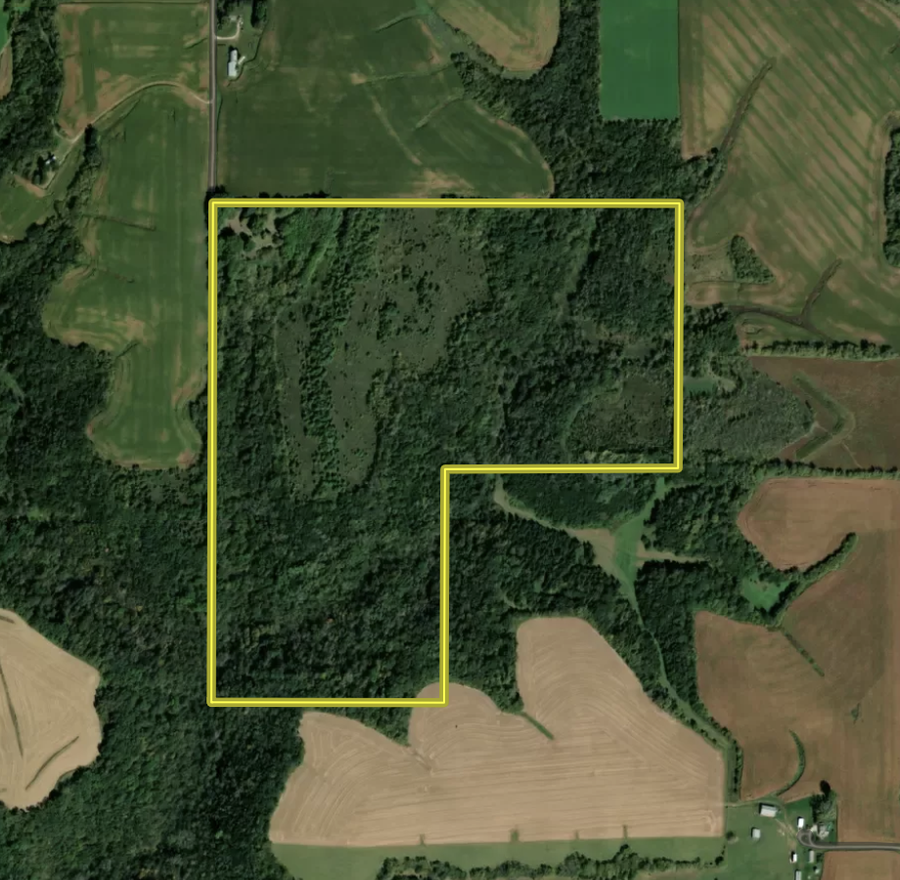 31258 E 325th Avenue, Pilot Mound, MN 55971 - #2