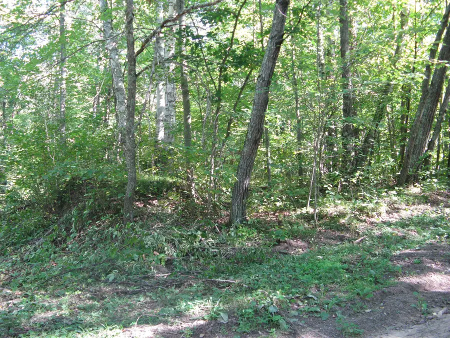 TBD Alpine Drive, Breezy Point, MN 56472 - #3