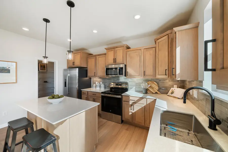 1005 Annagaire Curve, Rosemount, MN 55068 - #2