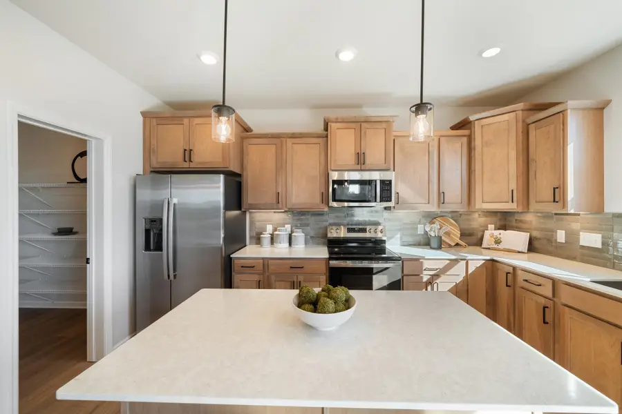 1005 Annagaire Curve, Rosemount, MN 55068 - #3
