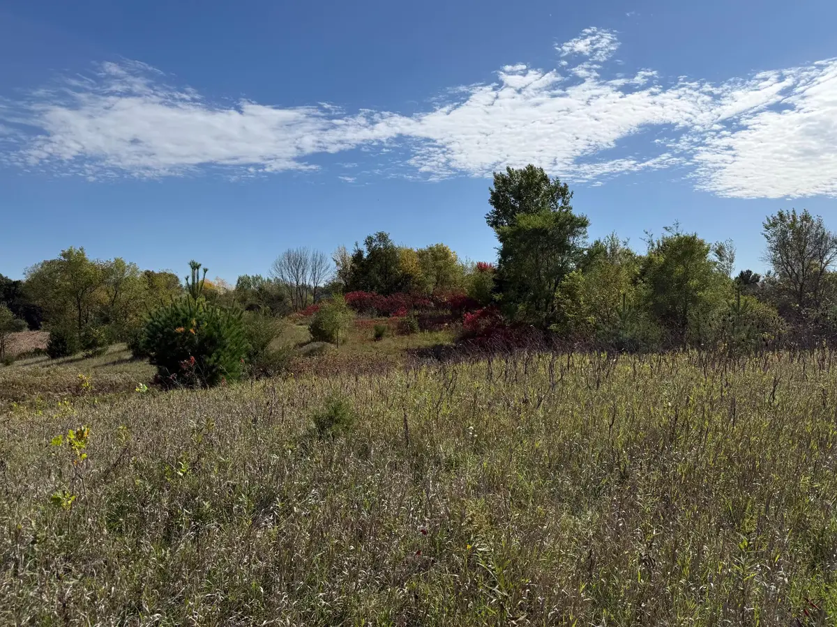 XXX Canby, Webster, MN 55088 - #1