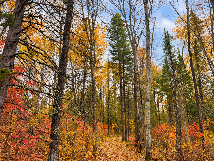 Parcel 1 County Road A, Solon Springs, WI 54873 - #3