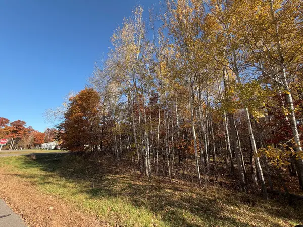 L1 B3 Paper Birch Drive, Baxter, MN 56425