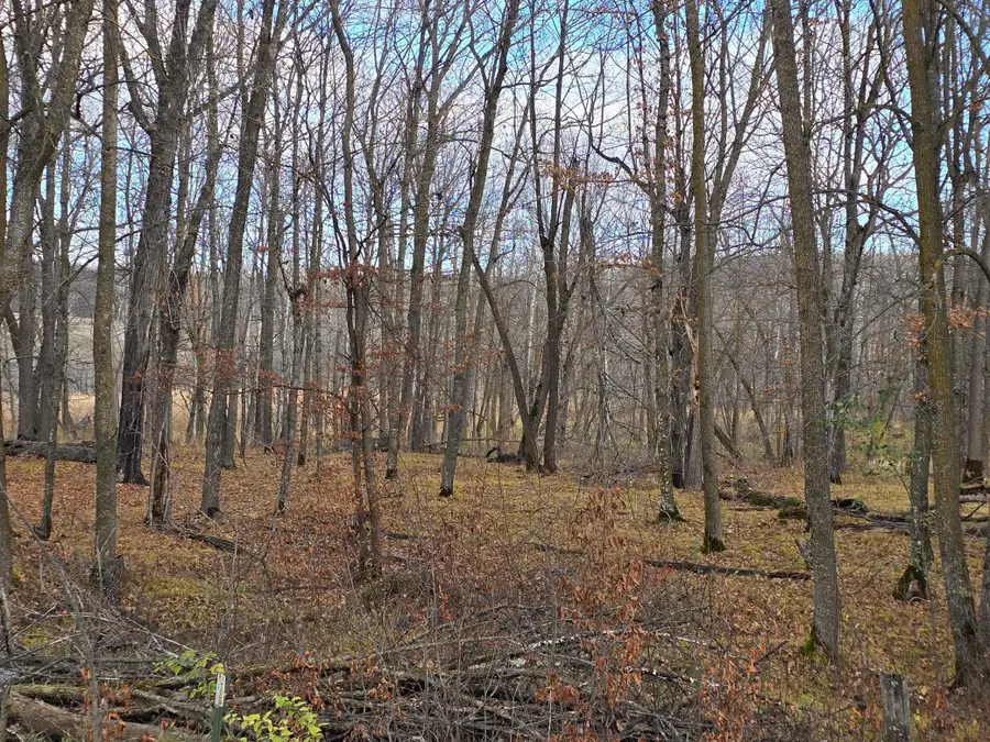 TBD Whiskey Creek Drive, Detroit Lakes, MN 56501 - #2