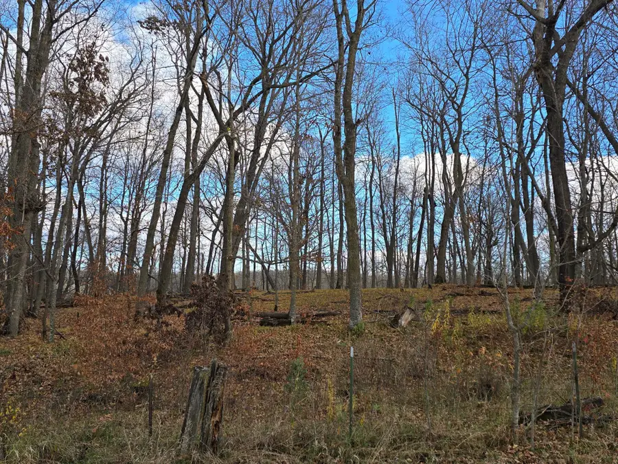 TBD Whiskey Creek Drive, Detroit Lakes, MN 56501 - #3