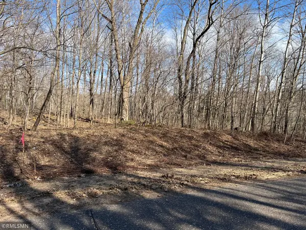 LOT 1 Wilderness Hills Lane, Luck, WI 54853
