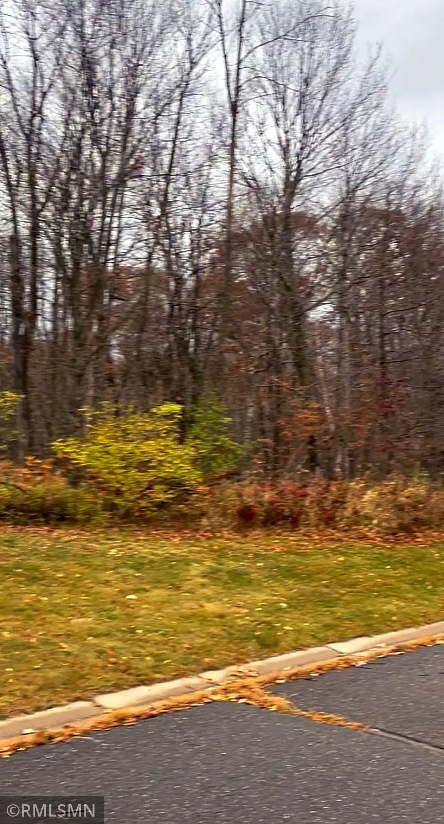 LOT 11 Wilderness Hills Lane, Luck, WI 54853 - #2