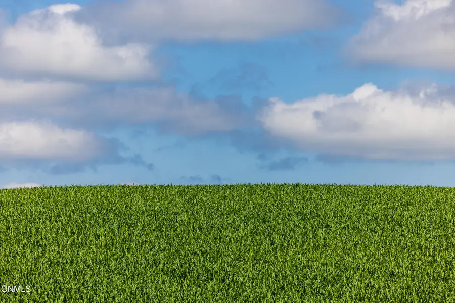 Tbd 370th Street, Erhard, MN 56534 - #3