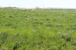 Tbd L4 B1 Key's Cove Loop, Ray, ND 58849