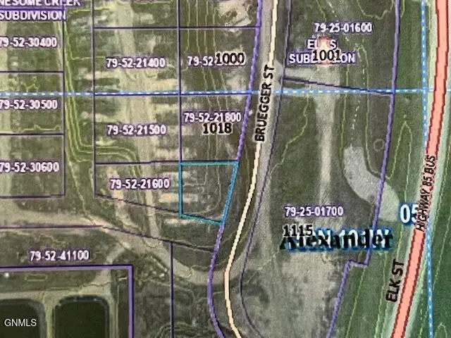 Tbd Bruegger Street, Alexander, ND 58831 - #1