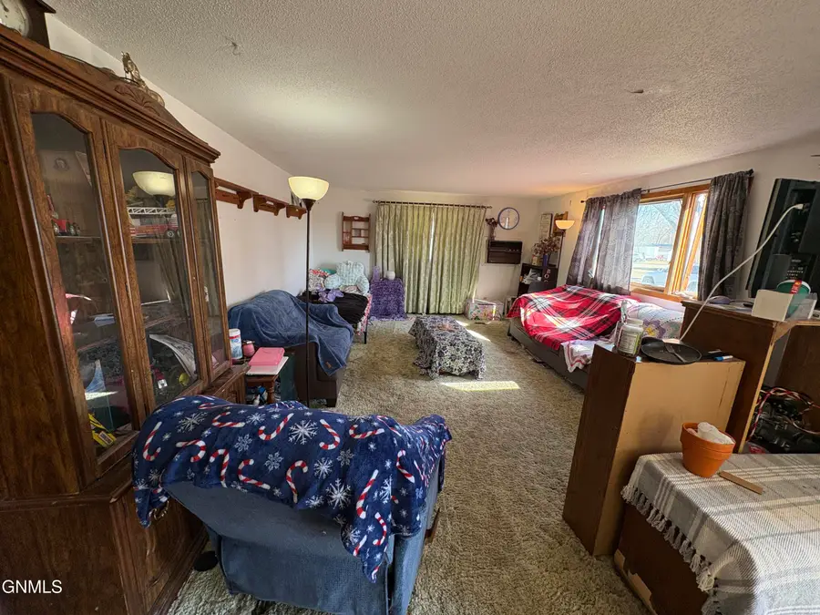 113 3rd Street S, Ellendale, ND 58436 - #3