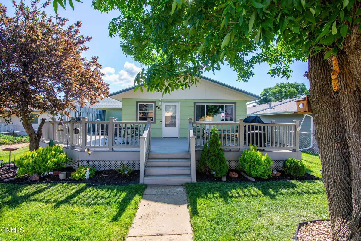 203 Millionaire Avenue, Mott, ND 58646 - #1