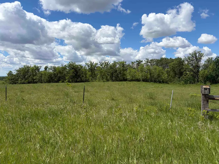 Sjule Road, Bottineau, ND 58318 - #3