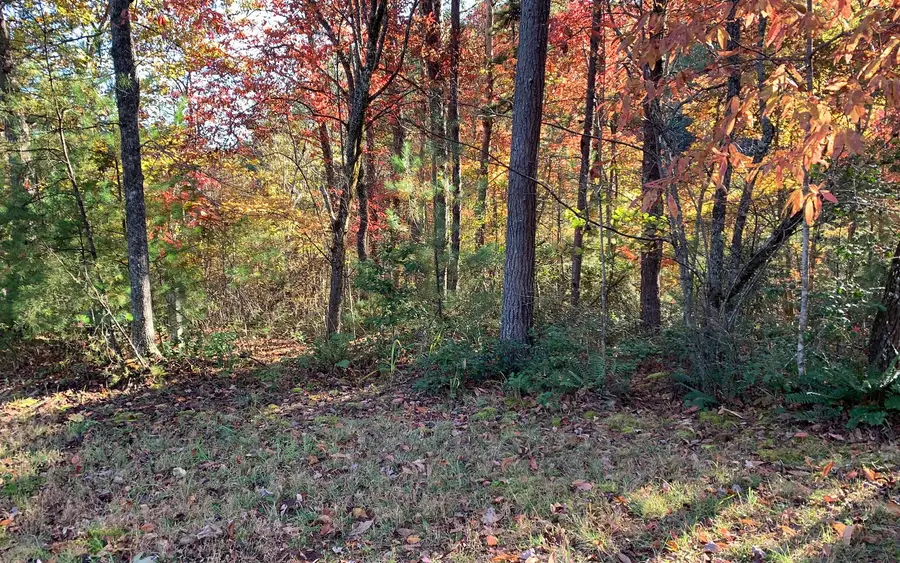#3