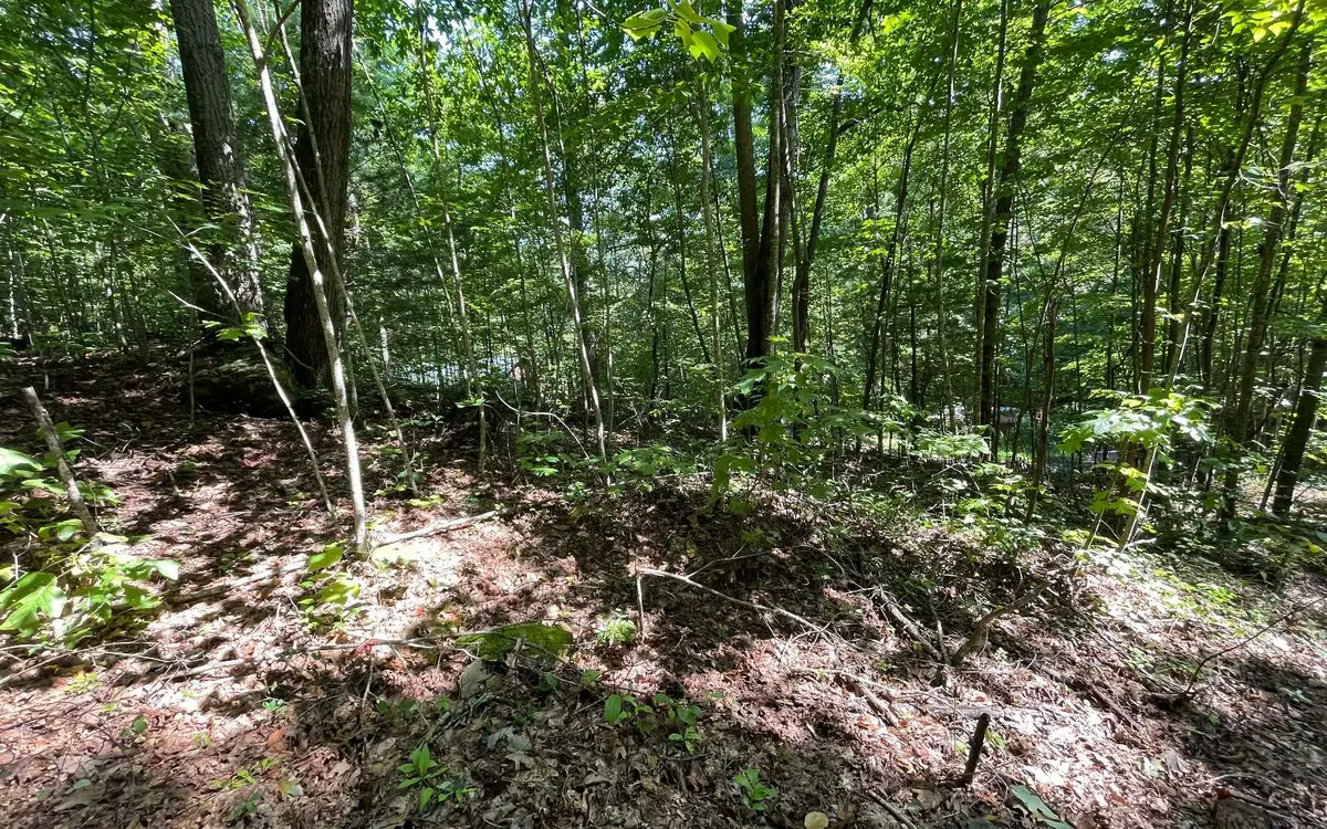 Lot 8D Eagle Heights, Hiawassee, GA 30546 - Image #1