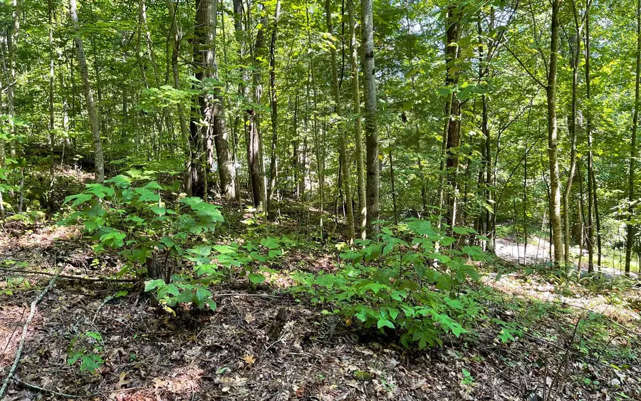 Lot 8D Eagle Heights, Hiawassee, GA 30546 - Image #2