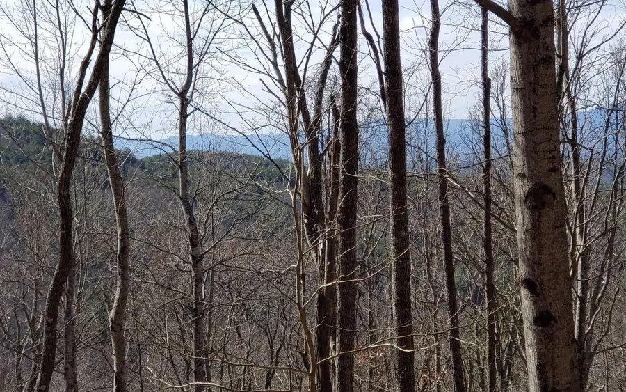 LT 28A Sassafras Ridge Road, Copperhill, TN 37317 - Image #3