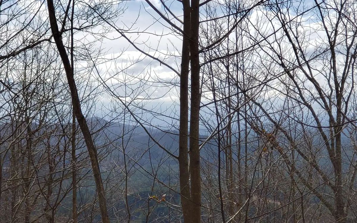 LT 35 Calvender Road, Copperhill, TN 37317 - Image #1