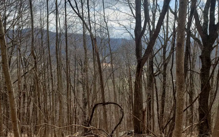 LT 35 Calvender Road, Copperhill, TN 37317 - Image #2