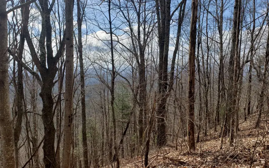 LT 35 Calvender Road, Copperhill, TN 37317 - Image #3