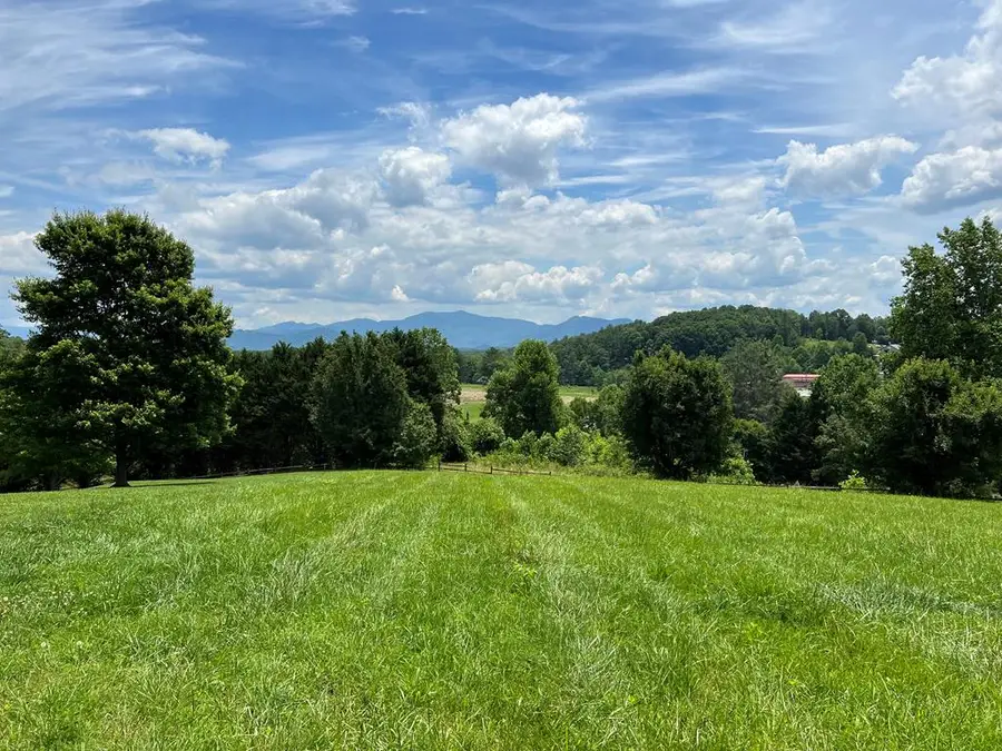 Lot 8 Cabin Drive, Hayesville, NC 28904 - #3