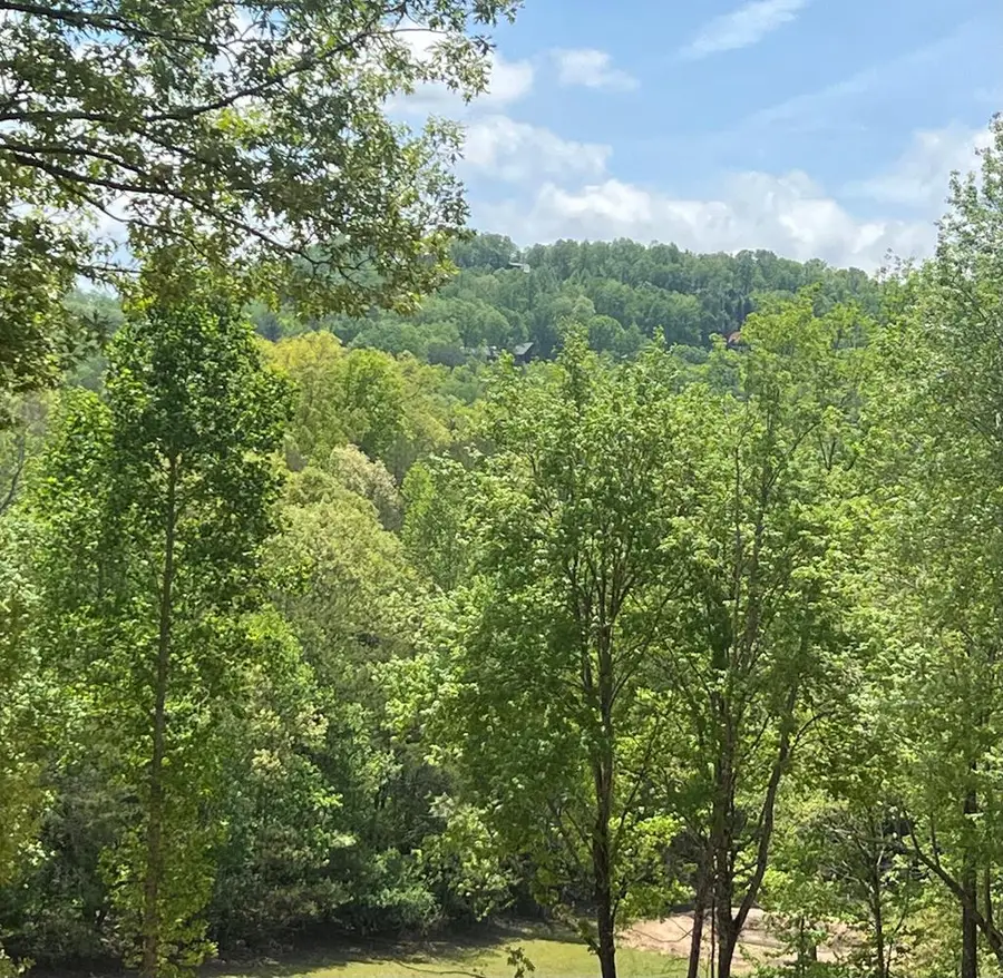 800 Sunrise Road, Blue Ridge, GA 30513 - Image #2