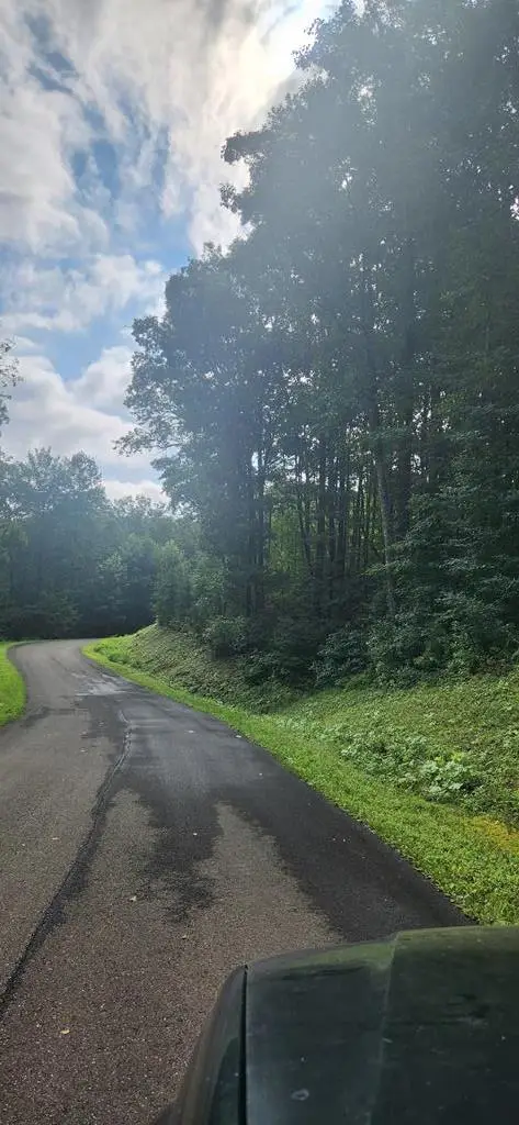 LT175 Trailwood Drive, Ellijay, GA 30536