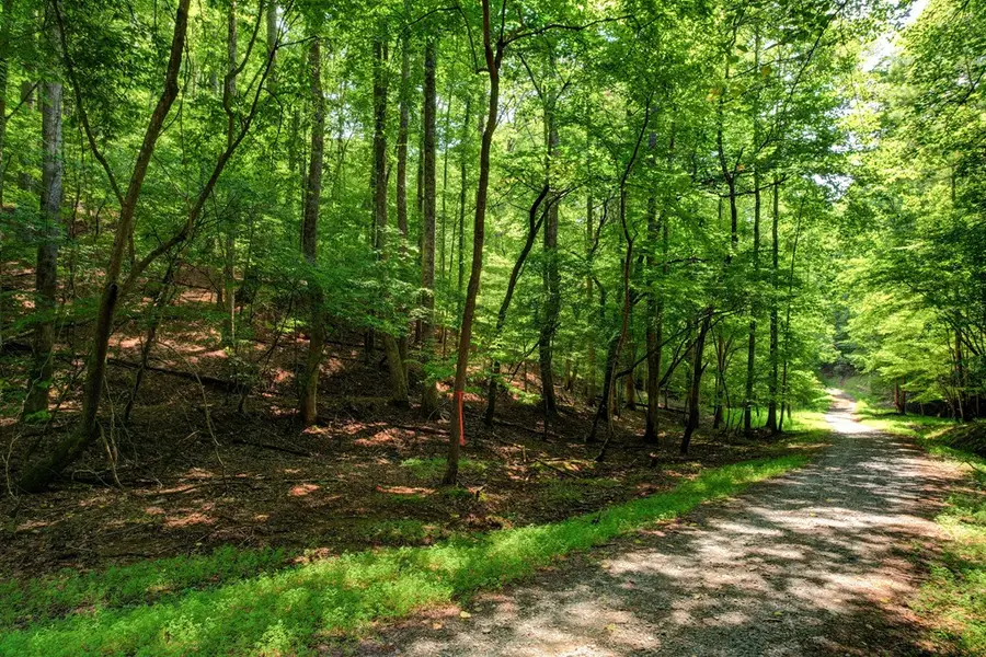 Lot 1972 Nancy Court, Ellijay, GA 30540 - Image #2