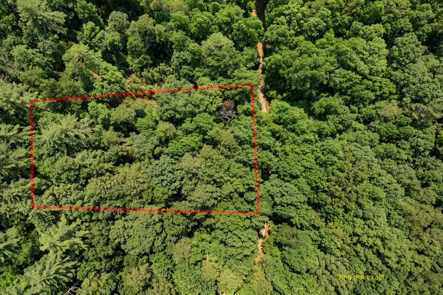 Lot 1972 Nancy Court, Ellijay, GA 30540 - Image #3